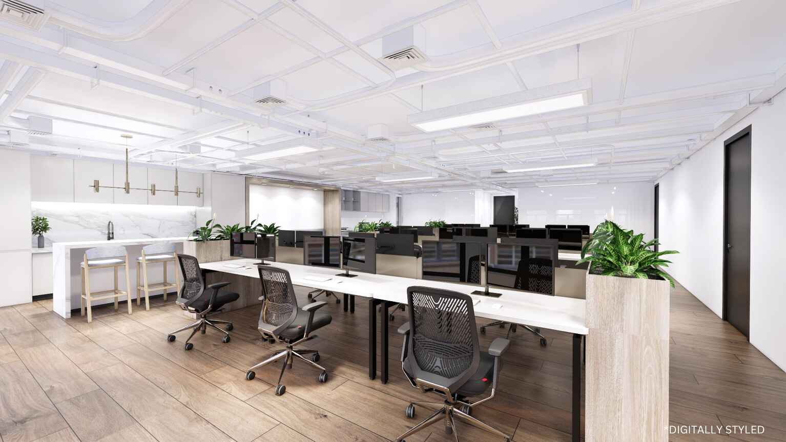 100 New South Head Road Edgecliff