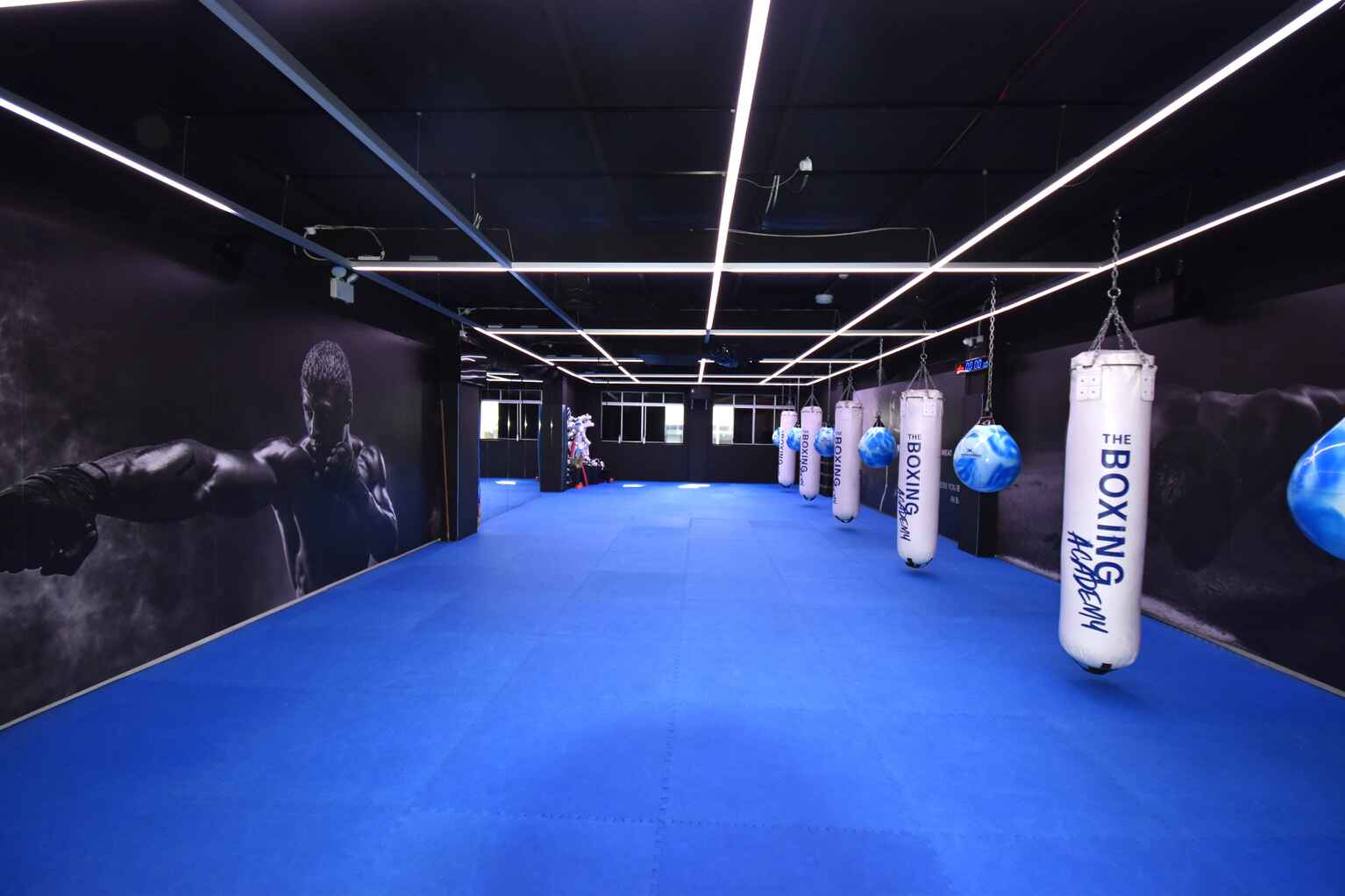 416 Oxford Street Bondi Junction