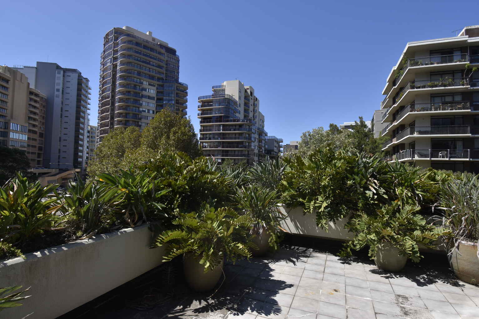 Suite 302 3 Waverley Street Bondi Junction