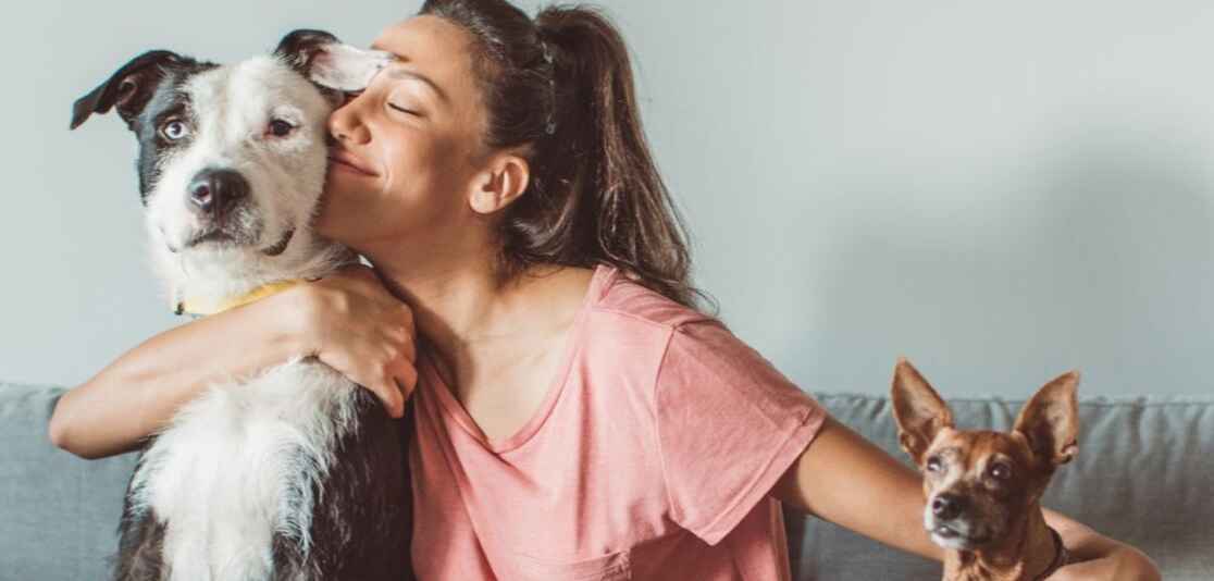 Pet-Friendly Homes — What Buyers & Renters Want