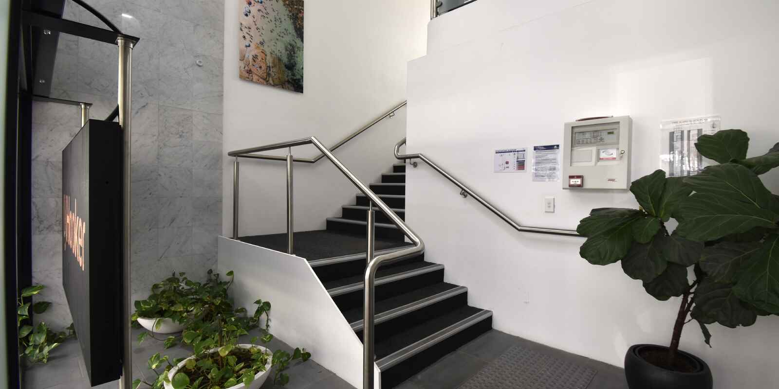 62 Spring Street Bondi Junction